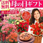 2013年 母の日 花とスイーツギフト