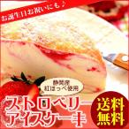 （いちご イチゴ 苺）母の日ギフト スイーツ