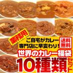 業務用カレー 世界のカレー福袋10種類入り XN