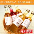 飲むお酢「綾の黒酢」5本セット 文月 bn