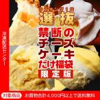 福袋 禁断のチーズケーキだけスイーツ福袋 チーズケーキ lf