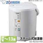 加湿器 象印 スチーム式加湿器 EE-RD50-HA 洋室～13畳 (TC)