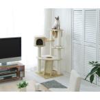 キャットタワー 猫タワー 置き型ロータイプ QQ80083 キャットランド 猫の遊具[送料無料]