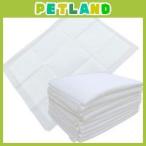 【期間限定感謝セール】ペットシーツ　レギュラー　100枚　