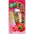 【セール】柔らかサーモン　１本