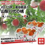 2013年　産地直送！ 山梨八代の桃  1.5キロ（6玉～8玉）を2箱
