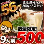 讃岐うどん うどんバカ店長福袋【夏祭りぶっかけVer.】送料無料 激安54%OFF おまけ付き♪(さぬきうどん セット )ご当地 セール