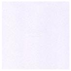 BUMP OF CHICKEN／present from you(CD)