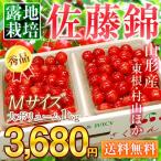 さくらんぼ　サクランボ　送料無料　山形産　『佐藤錦』秀品Mサイズバラ詰め　約１キロ（約500ｇ×2）　産地直送