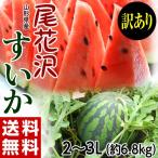 すいか　送料無料　訳あり　山形産「尾花沢スイカ」２～３Ｌサイズ 約7キロ　産地直送