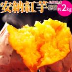 【究極の安納芋！最高糖度45度を記録！】　種子島産　長期熟成　循環型農法　『安納紅』　1箱　約2キロ　《産直・送料無料》