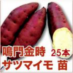 鳴門金時