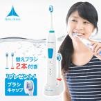 電動歯ブラシ 音波歯ブラシ ロイヤルソニック ハブラシ 超 安い