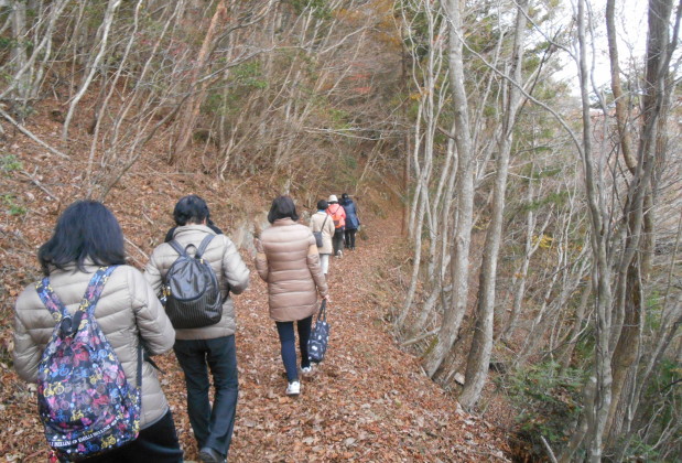 阿波忌部の聖地を巡る女神ツアー