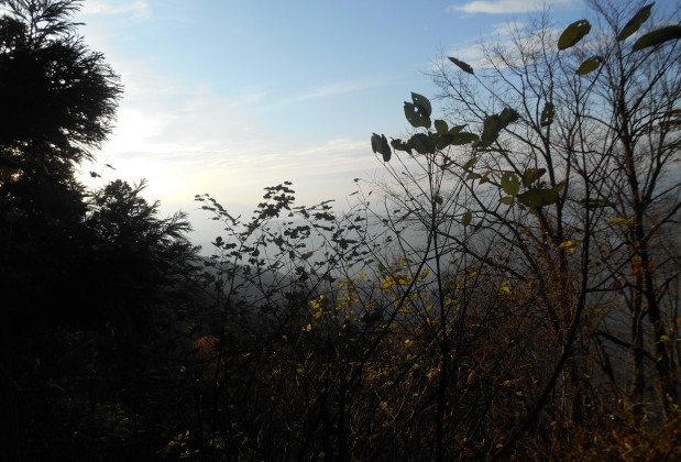 阿波忌部の聖地を巡る女神ツアー
