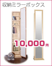 収納ミラーボックス　10,000円