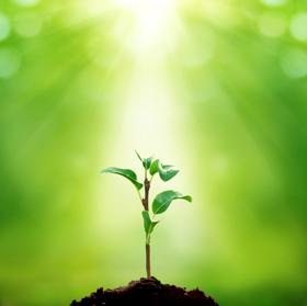 ãæ°è½ãã®ç»åæ¤ç´¢çµæ