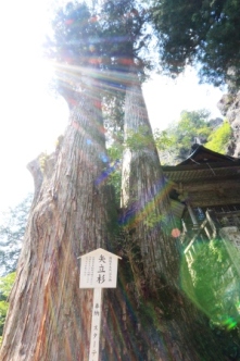 榛名神社