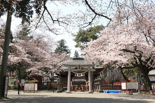 2010.04.03 (8).JPG