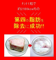 第4の脂肪 