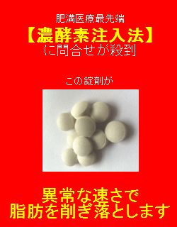 濃酵素注入法 