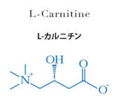 L-カルニチン