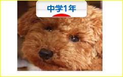 にほんブログ村 中学生日記ブログ 中学１年生へ