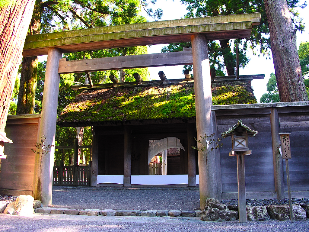 ソース画像を表示