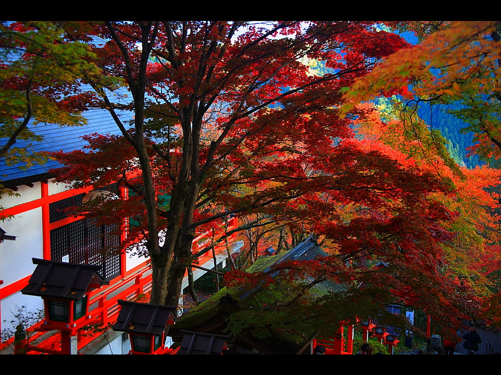 クリックすると新しいウィンドウで開きます