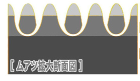 danmen.png