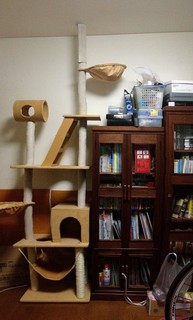 キャットタワー