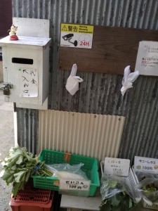 野菜の無人販売