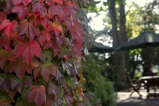 東川町2.jpg
