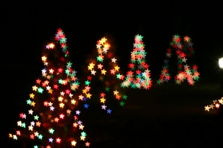 IMG_0038.jpg