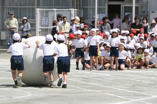 IMG_8358.jpg