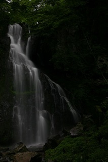 IMG_9944.jpg