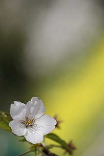 _MG_3617.jpg