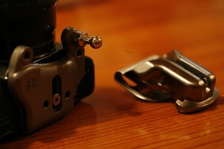 _MG_8493.jpg
