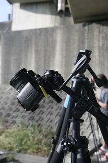 _MG_9557.jpg