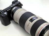 cfbc7618-s.jpg