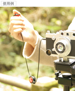 gizmon_shutter-3.jpg