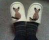 Photo_38