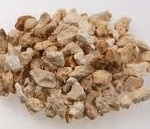 茯苓（ブクリョウ）1