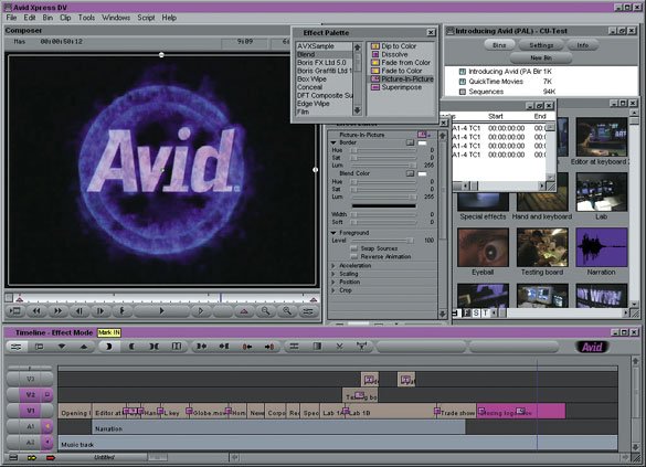 Avid Everywhere