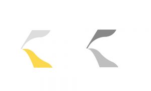 カラーとグレースケール対比