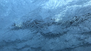 川口市 加圧トレーニング ダイエット