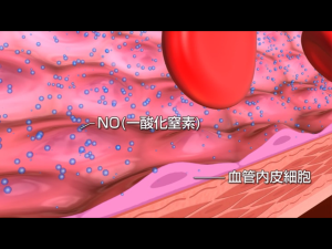 埼玉県　川口市　加圧　トレーニング　KAATSU　Cycle　サイクル　産後　ケア　ダイエット　リハビリ　赤ちゃん　子供　連れ