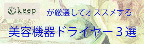 【保存版】ドライヤー(復元、ヘアビューザー、ホリスティック)購入