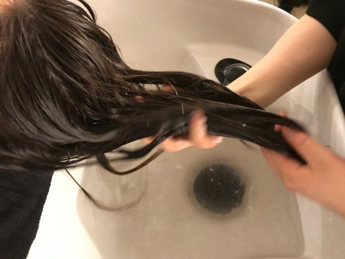 ハイドレイブ資料_5684