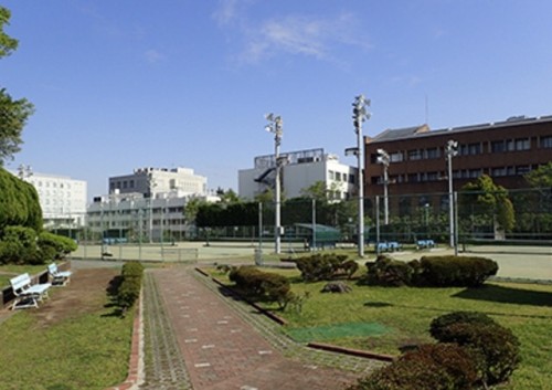 OLYMPUS DIGITAL CAMERA